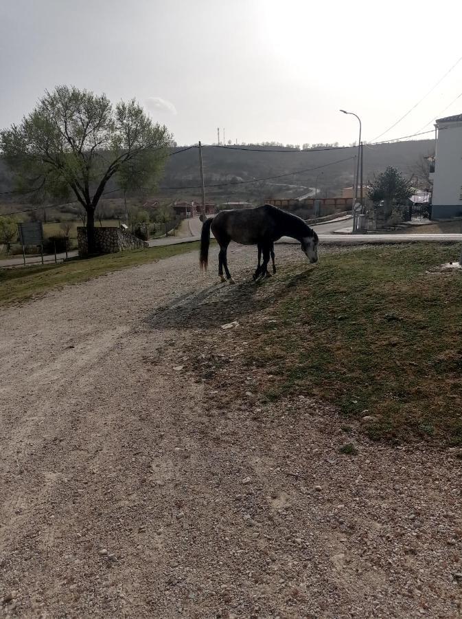 Hostal Cañamares Kültér fotó